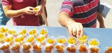 400 Kişilik Lokma Fiyatı Ne Kadar? Ankara - Lokmacı Mesut 400-kisilik-lokma-fiyati-ne-kadar-ankara